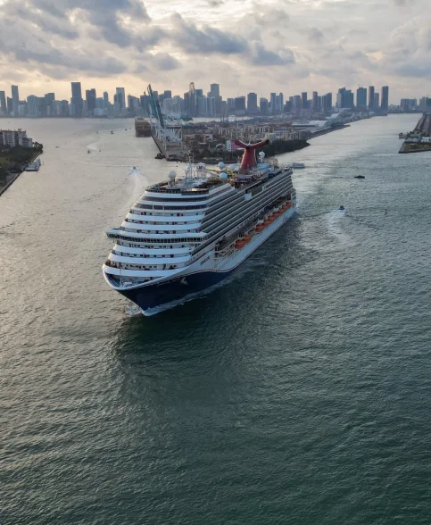 Cruise