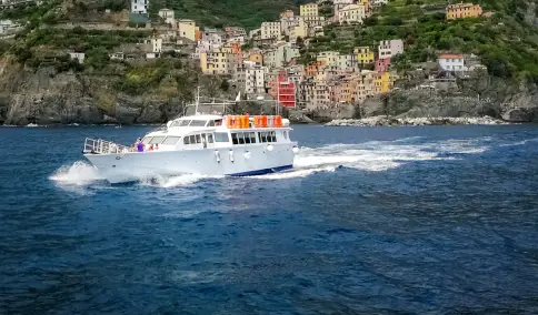 Cruise