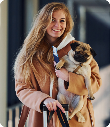 Pet Travel Consultation